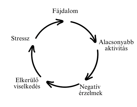 A fájdalom önfenntartó köre
